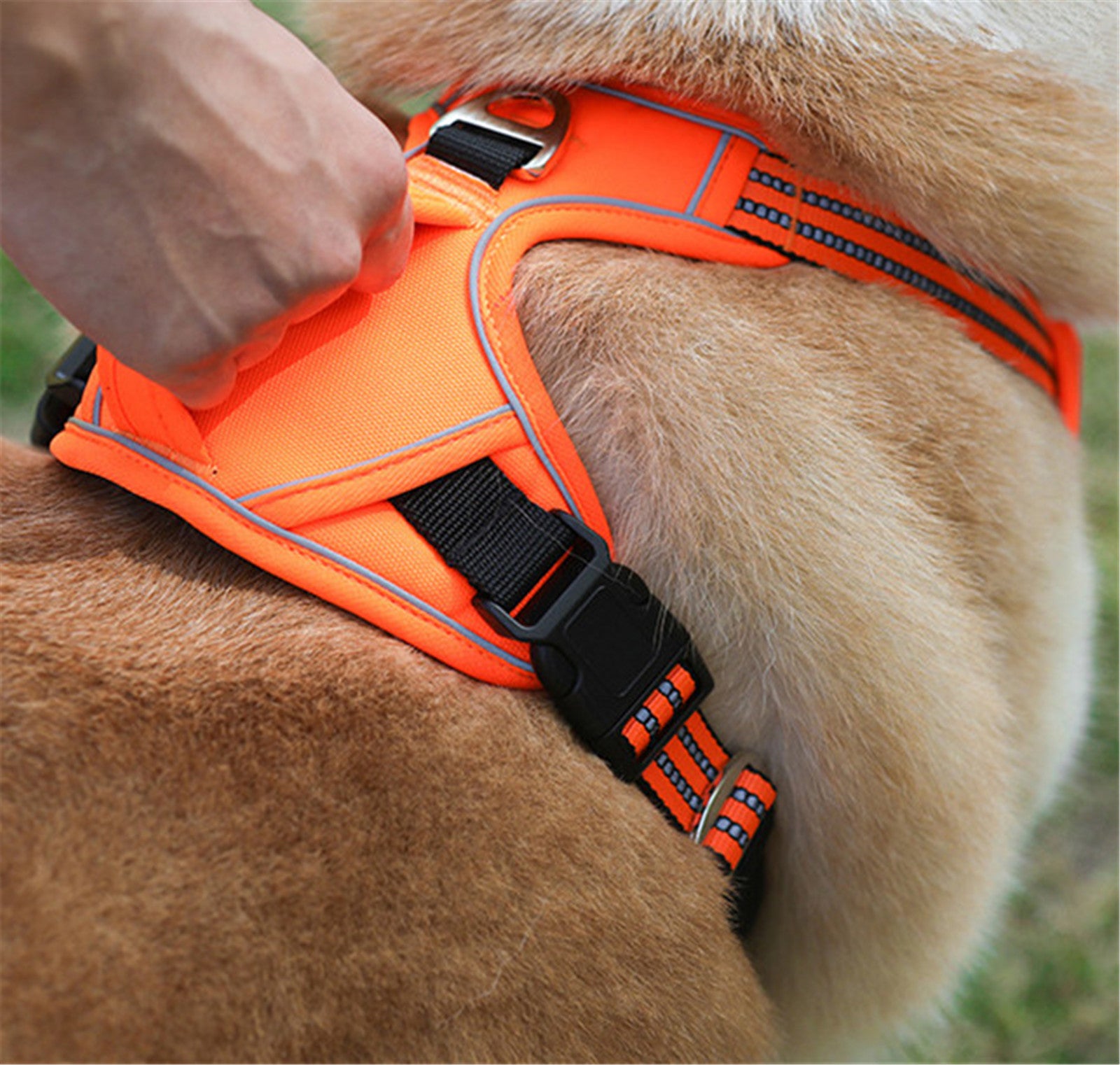 TrailPaws™ Pet Harness — Comfort Control for Every Walk