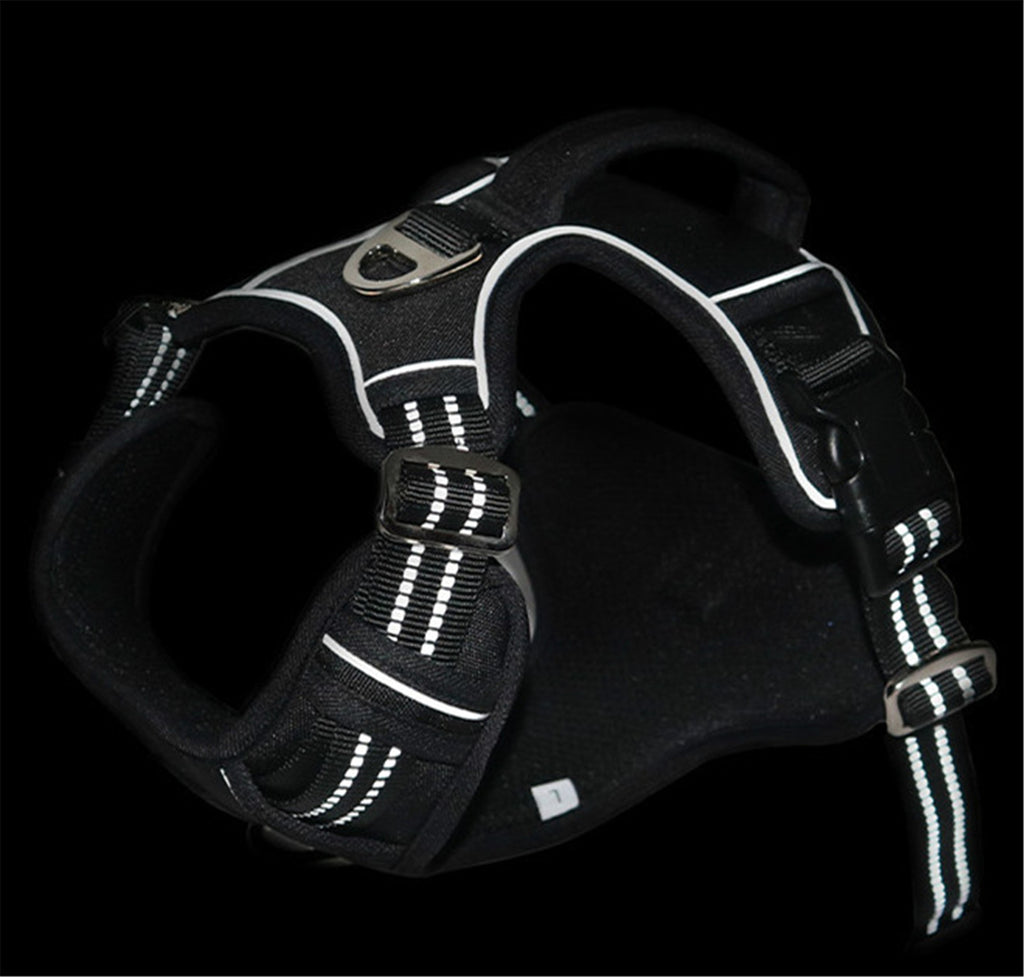 TrailPaws™ Pet Harness — Comfort Control for Every Walk